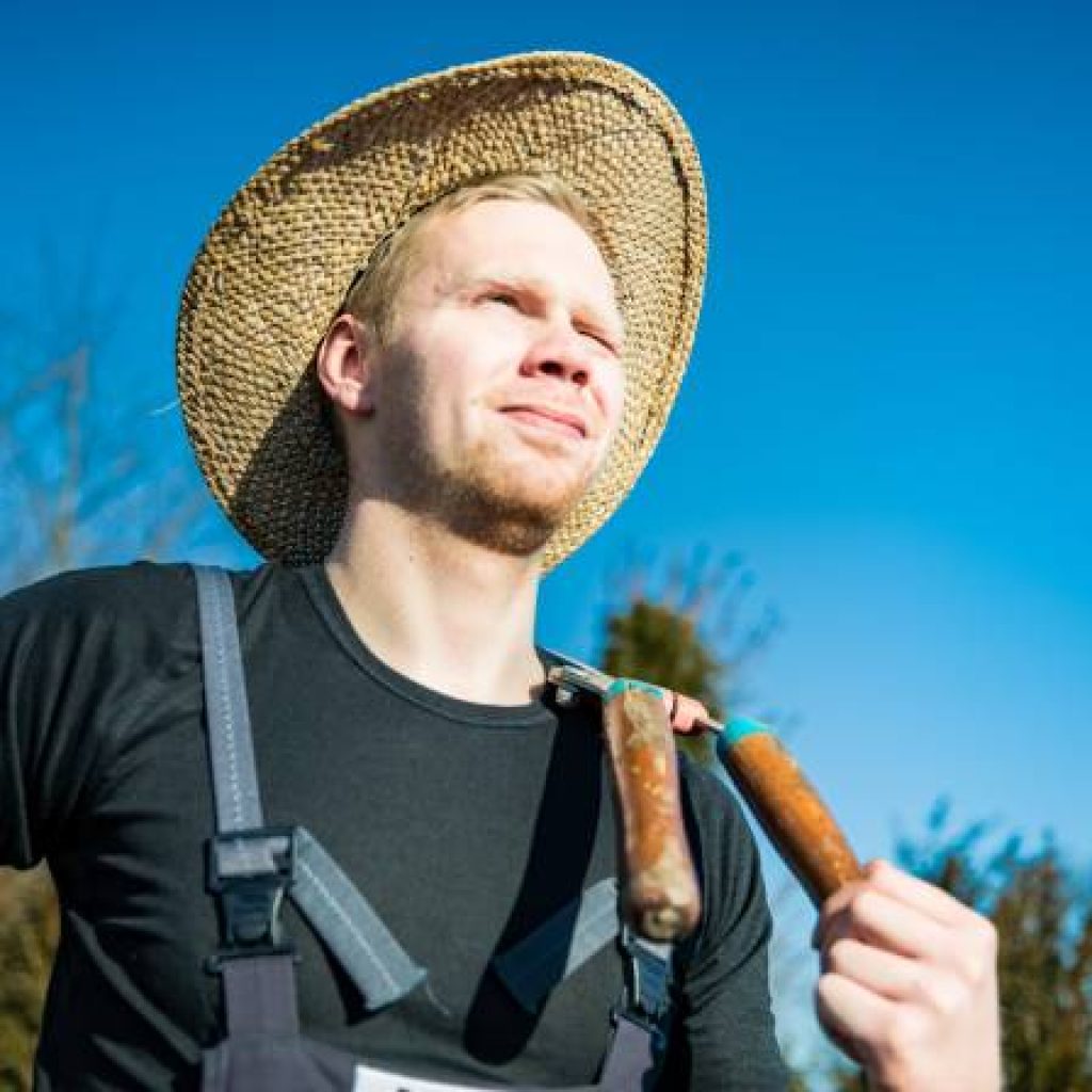 Gartenpflege im Sommer