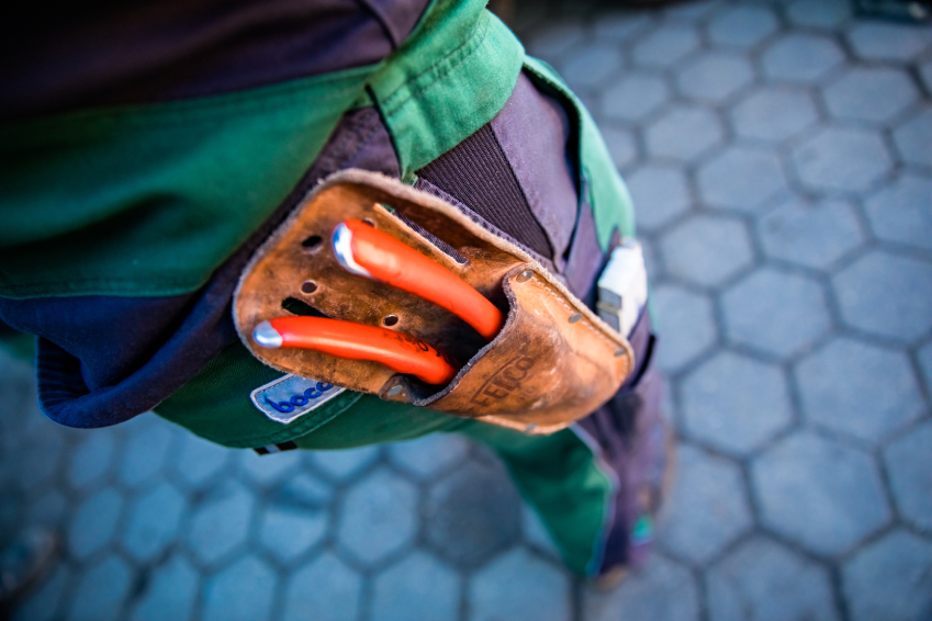 Wildkrautbekämpfung 